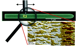 Graphical abstract: Surface morphology of Au-free grown nanowires after native oxide removal