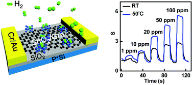 Graphical abstract: Hydrogen gas sensor based on metal oxide nanoparticles decorated graphene transistor