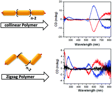 Graphical abstract: Plasmonic polymers with strong chiroptical response for sensing molecular chirality