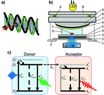 Graphical abstract: Controlling the dynamics of Förster resonance energy transfer inside a tunable sub-wavelength Fabry–Pérot-resonator