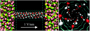 Graphical abstract: Water–methanol separation with carbon nanotubes and electric fields