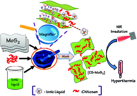 Graphical abstract: A one-step approach to the large-scale synthesis of functionalized MoS2 nanosheets by ionic liquid assisted grinding