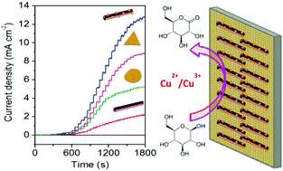 Graphical abstract: Fabrication of bimetallic Cu/Au nanotubes and their sensitive, selective, reproducible and reusable electrochemical sensing of glucose