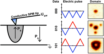 Graphical abstract: Data encoding based on the shape of the ferroelectric domains produced by using a scanning probe microscope tip