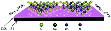 Graphical abstract: CVD synthesis of Mo(1−x)WxS2 and MoS2(1−x)Se2x alloy monolayers aimed at tuning the bandgap of molybdenum disulfide