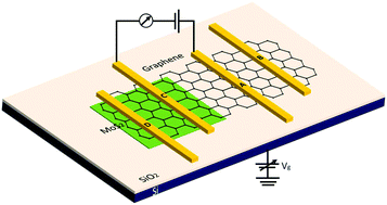 Graphical abstract: Lateral graphene p–n junctions formed by the graphene/MoS2 hybrid interface