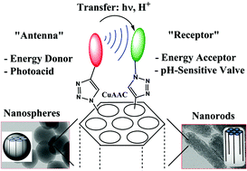 Graphical abstract: Controlled multiple functionalization of mesoporous silica nanoparticles: homogeneous implementation of pairs of functionalities communicating through energy or proton transfers