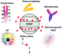 Graphical abstract: Smart multifunctional drug delivery towards anticancer therapy harmonized in mesoporous nanoparticles