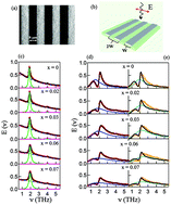 Graphical abstract: Topologically protected Dirac plasmons and their evolution across the quantum phase transition in a (Bi1−xInx)2Se3 topological insulator