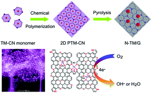 Graphical abstract: Bottom-up synthesis of high-performance nitrogen-enriched transition metal/graphene oxygen reduction electrocatalysts both in alkaline and acidic solution