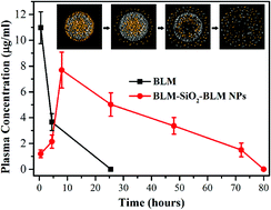 Graphical abstract: Double loaded self-decomposable SiO2 nanoparticles for sustained drug release