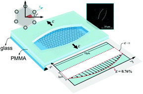 Graphical abstract: Suspended monolayer graphene under true uniaxial deformation