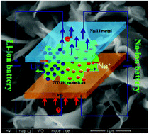 Graphical abstract: Novel sodium/lithium-ion anode material based on ultrathin Na2Ti2O4(OH)2 nanosheet