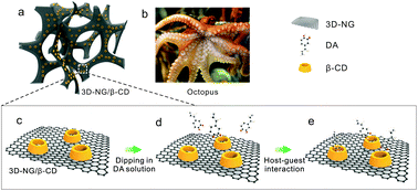 Graphical abstract: 3D nitrogen-doped graphene/β-cyclodextrin: host–guest interactions for electrochemical sensing