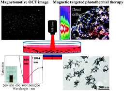 Graphical abstract: New insight on optical and magnetic Fe3O4 nanoclusters promising for near infrared theranostic applications