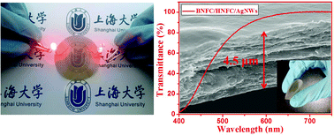 Graphical abstract: Solution-processed assembly of ultrathin transparent conductive cellulose nanopaper embedding AgNWs