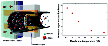 Graphical abstract: Enhanced water vapor separation by temperature-controlled aligned-multiwalled carbon nanotube membranes