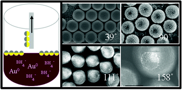 Graphical abstract: Visualization of the equilibrium position of colloidal particles at fluid–water interfaces by deposition of nanoparticles