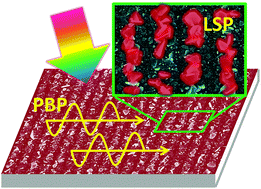 Graphical abstract: Broadband near-field enhancement in the macro-periodic and micro-random structure with a hybridized excitation of propagating Bloch-plasmonic and localized surface-plasmonic modes
