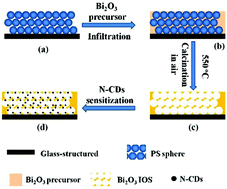 Graphical abstract: An ordered and porous N-doped carbon dot-sensitized Bi2O3 inverse opal with enhanced photoelectrochemical performance and photocatalytic activity