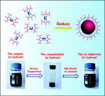 Graphical abstract: Highly stable and re-dispersible nano Cu hydrosols with sensitively size-dependent catalytic and antibacterial activities