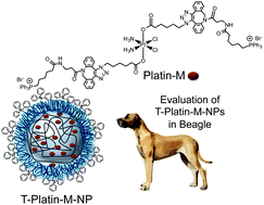 Graphical abstract: Evaluation of nanoparticle delivered cisplatin in beagles