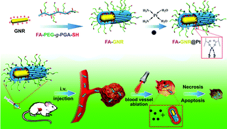 Graphical abstract: Near infrared light-actuated gold nanorods with cisplatin–polypeptide wrapping for targeted therapy of triple negative breast cancer