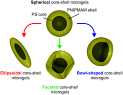 Graphical abstract: Anisotropic responsive microgels with tuneable shape and interactions