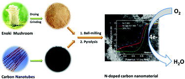 Graphical abstract: Easy conversion of protein-rich enoki mushroom biomass to a nitrogen-doped carbon nanomaterial as a promising metal-free catalyst for oxygen reduction reaction