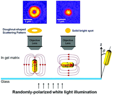 Graphical abstract: Characteristic image patterns of single anisotropic plasmonic nanoparticles embedded in a gel matrix