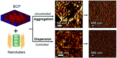 Graphical abstract: Co-assembly of cyclic peptide nanotubes and block copolymers in thin films: controlling the kinetic pathway