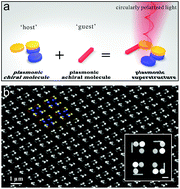 Graphical abstract: Understanding complex chiral plasmonics