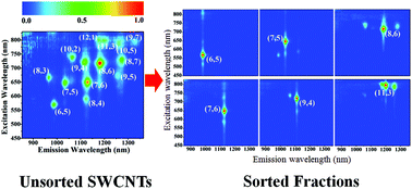 Graphical abstract: Ethanol-assisted gel chromatography for single-chirality separation of carbon nanotubes