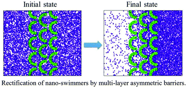 Graphical abstract: Enhancing rectification of a nano-swimmer system by multi-layered asymmetric barriers