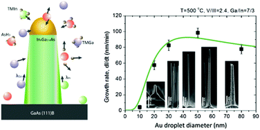 Graphical abstract: Understanding the growth and composition evolution of gold-seeded ternary InGaAs nanowires