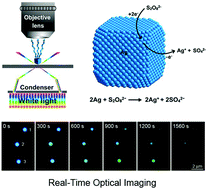 Graphical abstract: Real-time monitoring of oxidative etching on single Ag nanocubes via light-scattering dark-field microscopy imaging