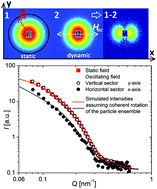 Graphical abstract: Excitation of Ni nanorod colloids in oscillating magnetic fields: a new approach for nanosensing investigated by TISANE