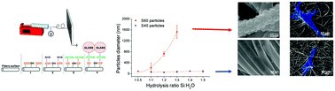 Graphical abstract: Towards 4th generation biomaterials: a covalent hybrid polymer–ormoglass architecture