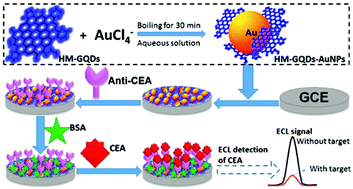 Graphical abstract: Immobilizing water-soluble graphene quantum dots with gold nanoparticles for a low potential electrochemiluminescence immunosensor