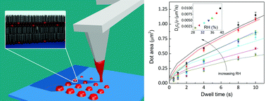 Graphical abstract: A diffusive ink transport model for lipid dip-pen nanolithography