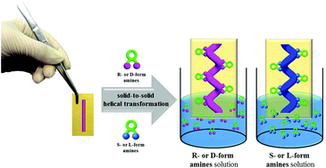 Graphical abstract: Chirality control of self-assembled achiral nanofibers using amines in their solid state