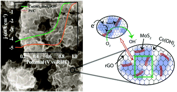 Graphical abstract: Layer-separated MoS2 bearing reduced graphene oxide formed by an in situ intercalation-cum-anchoring route mediated by Co(OH)2 as a Pt-free electrocatalyst for oxygen reduction