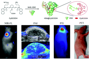 Graphical abstract: Protein-based photothermal theranostics for imaging-guided cancer therapy
