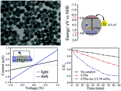 Graphical abstract: Synthesis of Cu2SnSe3–Au heteronanostructures with optoelectronic and photocatalytic properties