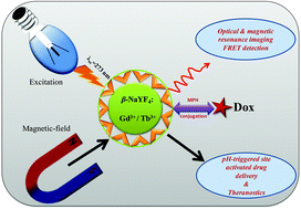 Graphical abstract: Doxorubicin-conjugated β-NaYF4:Gd3+/Tb3+ multifunctional, phosphor nanorods: a multi-modal, luminescent, magnetic probe for simultaneous optical and magnetic resonance imaging and an excellent pH-triggered anti-cancer drug delivery nanovehicle