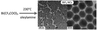 Graphical abstract: Colloidal BiF3 nanocrystals: a bottom-up approach to conversion-type Li-ion cathodes