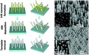 Graphical abstract: Morphology and composition controlled growth of polar c-axis and nonpolar m-axis well-aligned ternary III-nitride nanotube arrays