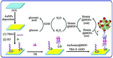 Graphical abstract: A multifunctional hemin@metal–organic framework and its application to construct an electrochemical aptasensor for thrombin detection