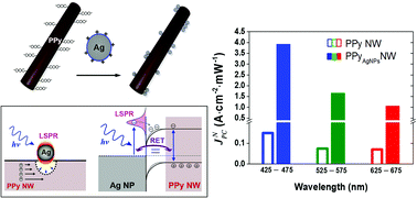 Graphical abstract: Improvement of polypyrrole nanowire devices by plasmonic space charge generation: high photocurrent and wide spectral response by Ag nanoparticle decoration
