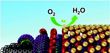 Graphical abstract: Carbon nanotubes-gold nanohybrid as potent electrocatalyst for oxygen reduction in alkaline media